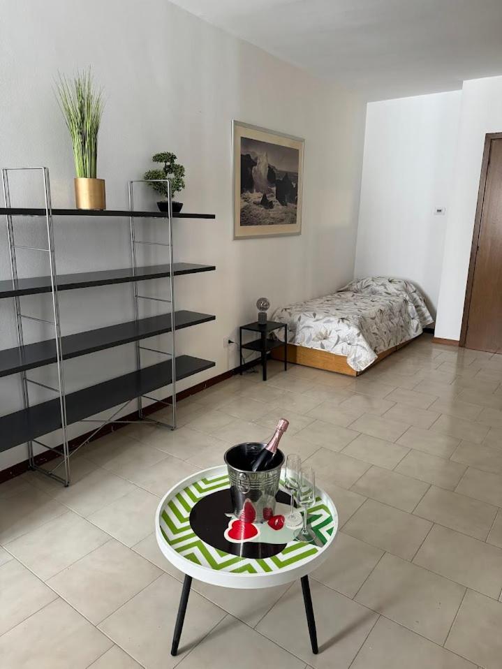 La Torretta Apartment 佩斯基耶拉德加达 外观 照片